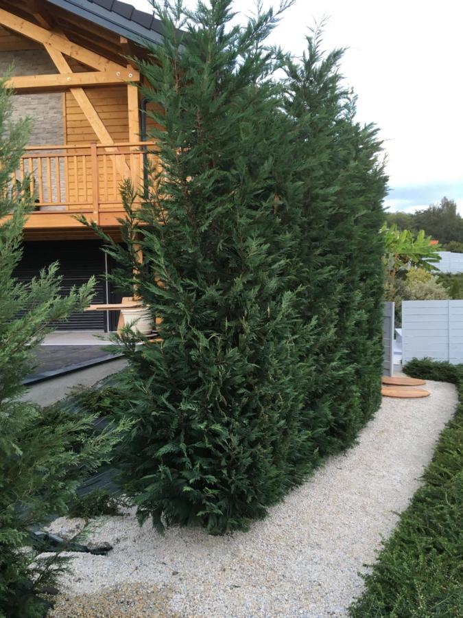 Chalet A La Campagne Coise-Saint-Jean-Pied-Gauthier Zewnętrze zdjęcie